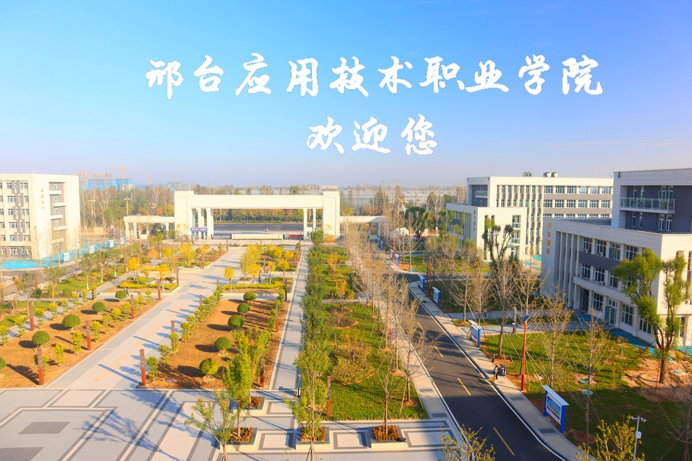 a4446344-9f03-4480-bd0f-ccc8e02a22f1.jpg
